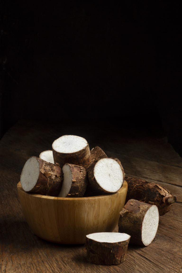 Explorando os Sabores da Amazônia Além das Fronteiras