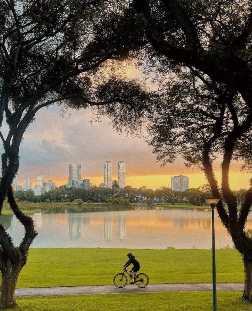 Paraná: Um Estado de Riquezas Naturais e Culturais