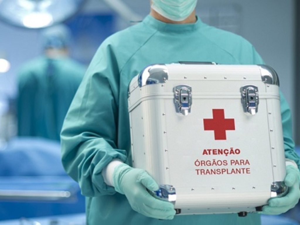 Primeiro Pulmão de Porco Transplantado em Humano Funciona por Nove Dias: O Que Isso Significa para o Futuro dos Transplantes