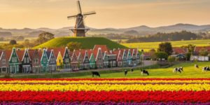 Cidade paranaense surpreende e conquista título de “mais europeia do Brasil” fora do circuito tradicional