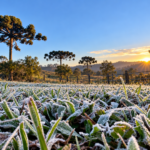 Frio ganha força no Paraná e termômetros podem chegar a 1°C após período de chuvas